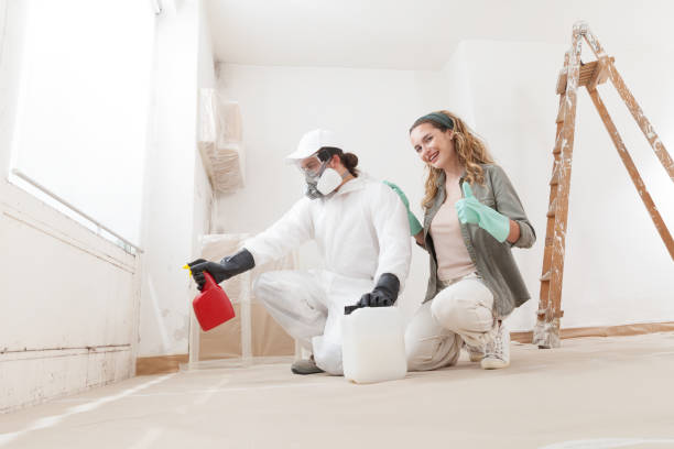 Best Attic Mold Removal  in USA